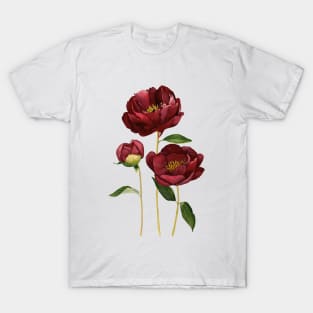 Burgundy peonies T-Shirt